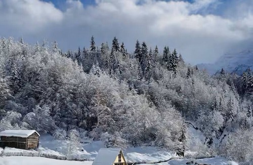 Mestia Cabin | Isolated Cabin in Kichkhuldashi, Svaneti with Lake Fishing & Horse Riding