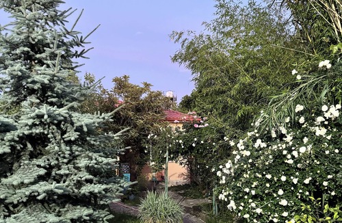 Avlabari House | Located in the center of the city. With unique, beautiful garden and terrace.