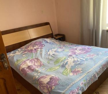 Kutaisi House | Lux-2-or-1- persons Irodion Evdoshvili Street #15