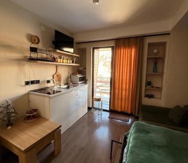 Kazbegi Apartment | Mountain View Apartment Near Ski Slopes Gudauri