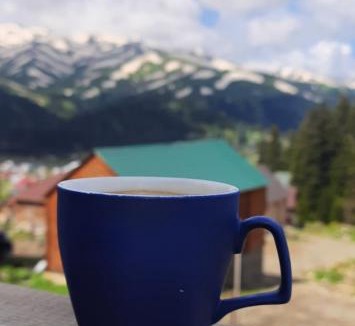 Bakhmaro Ski Chalet | Near the forest
