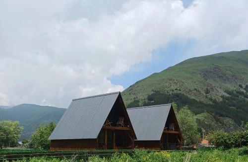 Kazbegi Ski Chalet | Panorama cottages Kazbegi