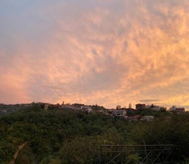 Sighnaghi Hotel | Panorama