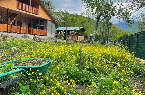 Ambrolauri Cottage | peaceful retreat in Racha: cozy 3 Bedrroom home in Likheti Village