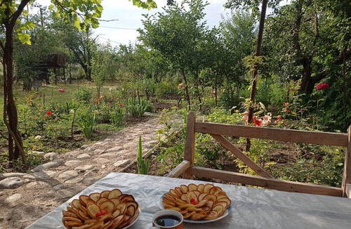 Tsilkani Hotel | Rest Georgia, Dusheti rose house it is a really good place for your rest.