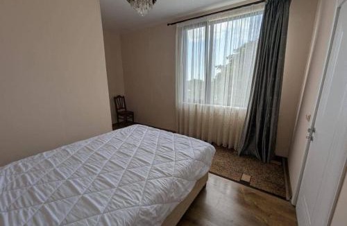Tsikhisdziri Villa | rest in bobokvati