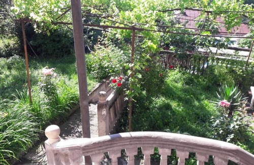 Borjomi Apartment | Shota's Guest House
