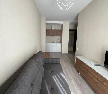 Bakuriani Apartment | Ski & Spa Apartment at Crystal