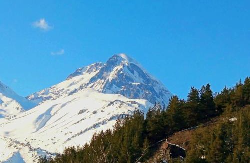 Kazbegi Cabin | Sno Valley Cottage