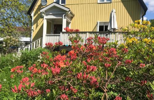 Alingsas Bed & Breakfast | Solhuset - Villa Språkkul
