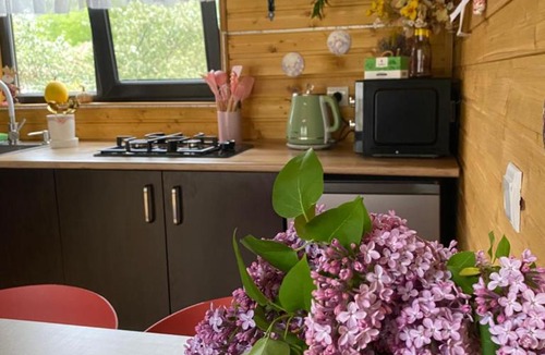 Stepantsminda Cabin | Sunny side cottage