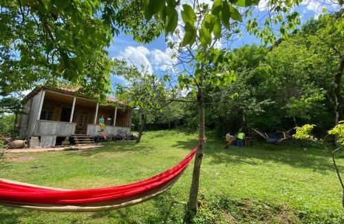 Imereti Other | Sveri Adventure Camp