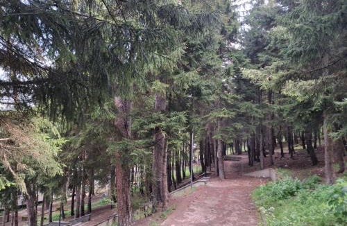 Akhali Ubani Cabin | Temos cottage
