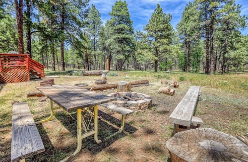 Parks House | The Ponderosa | Scenic Forest Views | Fire Pit & BBQ | Pet-Friendly | Now with Wi-Fi