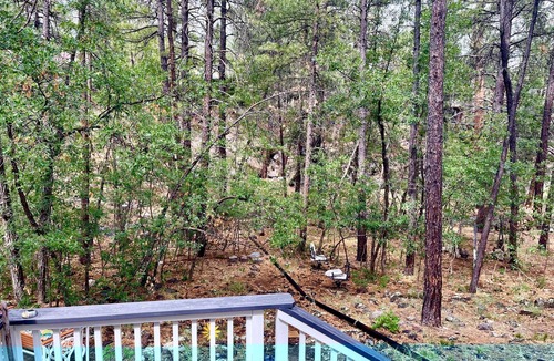 Munds Park Cabin | The Unique Squirrels Nest nestled in the Woods! We are pet friendly.