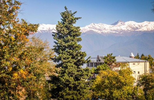 Telavi House | Tin-Tina Guesthouse