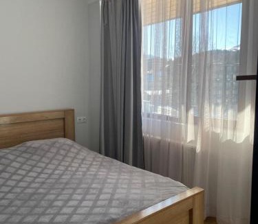 Bakuriani Apartment | Tride Bakuriani ბაკურიანი - სახლი წრეზე