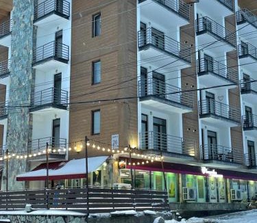 Bakuriani Apartment | Tride Bakuriani ბაკურიანი - სახლი წრეზე