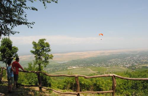 Sighnaghi Apartment | Tsanava's cottage in Sighnaghi