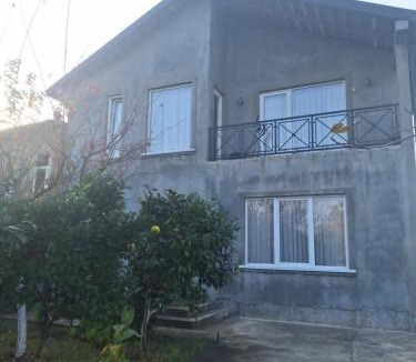 Zugdidi House | Tsitadel