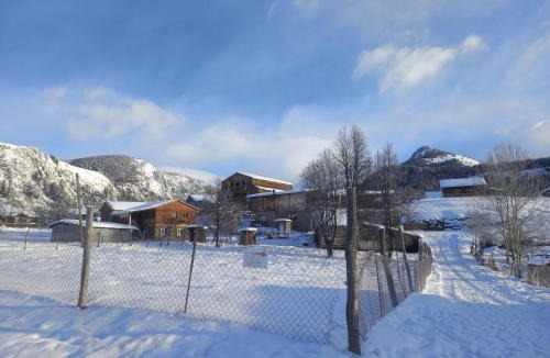 Omalo House | Tusheti Winter Home