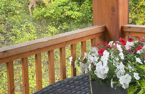Terrace House | Upper Cottage Retreat on Churchill, Terrace