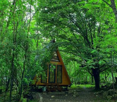 Tsqaltubo Cabin | Villa Ioseliani