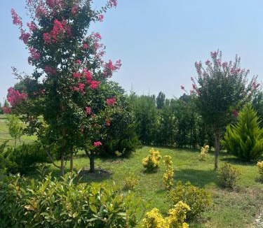 Kachreti Villa | Villa, Kachreti Ambassador Golf Resort