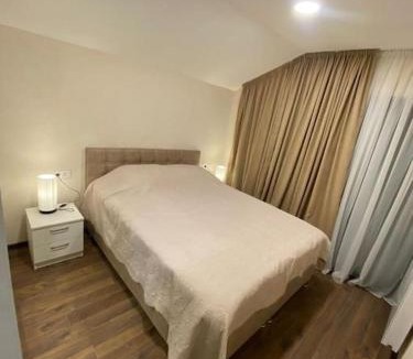 Bakuriani Villa | Villa Niako Bakuriani