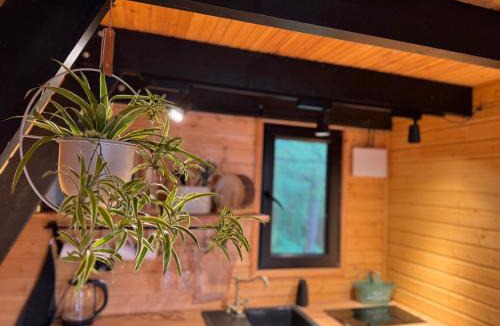 Tsqaltubo Ski Chalet | Vintage Cabin