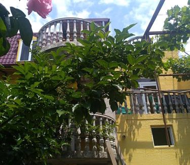 Tbilisi House | Why Me Eco-friendly Rooms - metro access