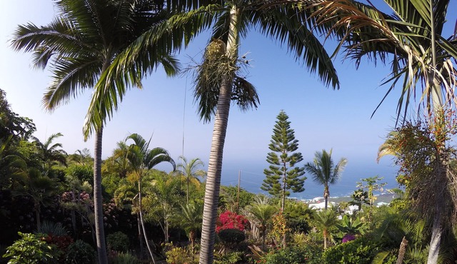 1000 Ft Elevation Overlooking The Beautiful Pacific Ocean in Captain Cook