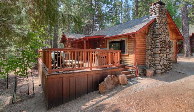 16 Chipmunks Holiday in Wawona