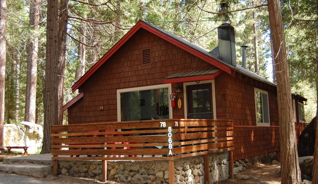 (78) Ox Yoke at The Redwoods In Yosemite in Yosemite National Park