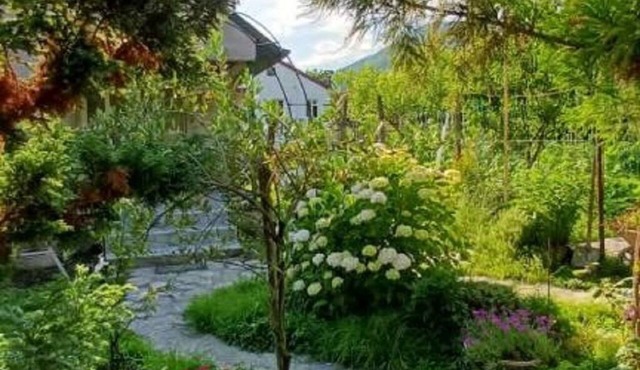 A comfortable 5-person cottage in a peaceful and scenic location in Lagodekhi.