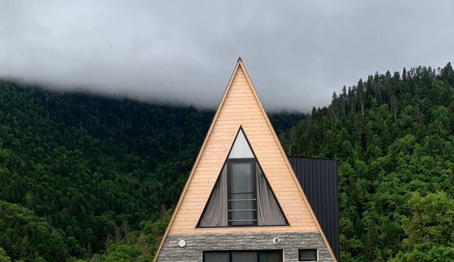 A-frame with forest view, Borjomi