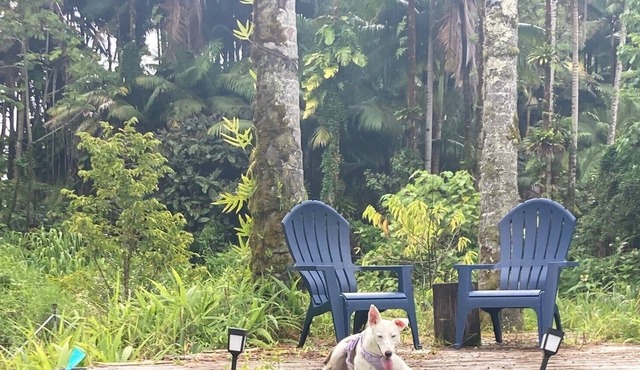 A Rainforest Retreat 20 minutes to Hilo and Volcano National Park in Keaau