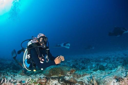 Addu Scuba Dive in Maradhoofeydhoo