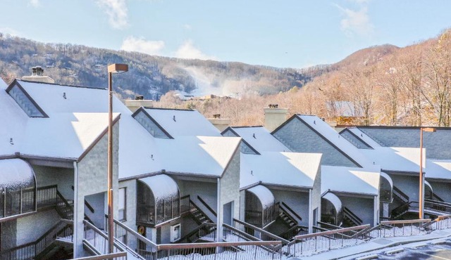 Alpine Condo & Cozy Bear Condo in Gatlinburg
