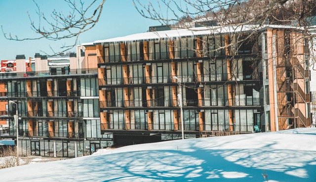 Apartment with amazing view on Didveli