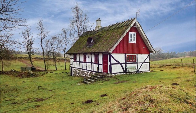 Awesome home in Lvestad with 2 Bedrooms and WiFi in Lövestad