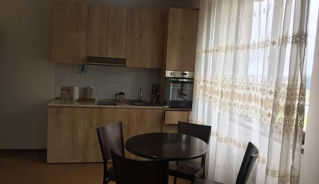 Bakuriani best price residence