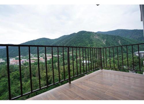 Borjomi-Likani Premium Apartments