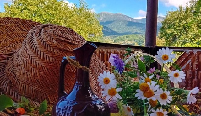 Borjomi Mountain Eko Retreat