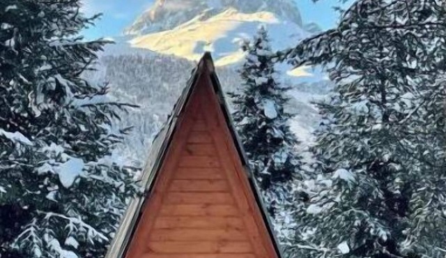 Cabin in the forest, near to ski lift, provide breakfast and dinner