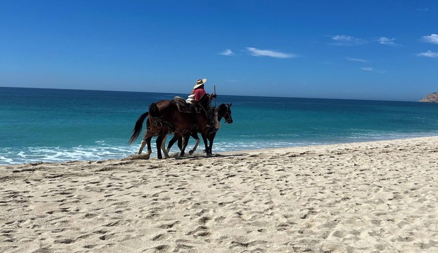 Cabo San Lucas! - It's your choice - Jr. Suite, 1 or 2-bedroom resort stay! in Cabo San Lucas