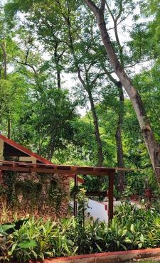 Casa Hadassa La Cañada in Palenque