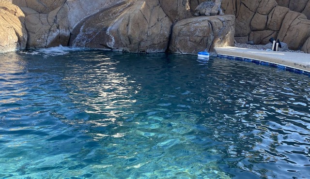 Central Lake Havasu home - pool and water slide! in Lake Havasu City
