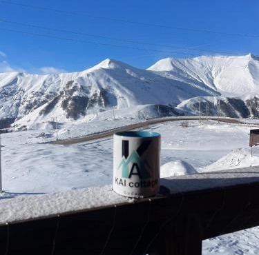 Chalet Gudauri