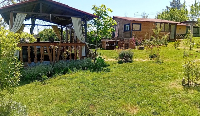 Charming 1-bedroom chalet in the mountains of Kiketi, near to Kiketi Farm.